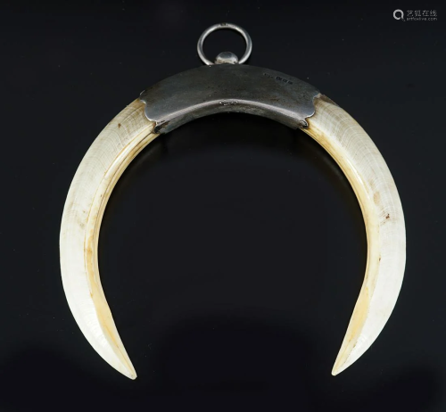 SILVER-MOUNTED DOUBLE BOAR TUSK,