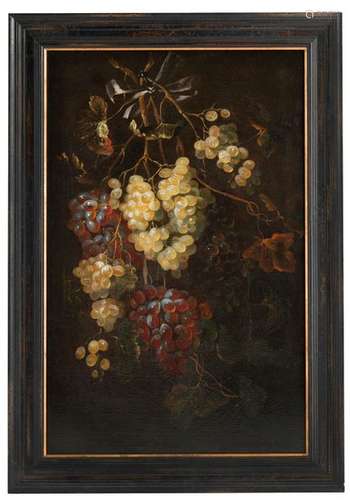 Flemish school. 17th century. 83 by 54 cm. Still life with branches of white and red grapes. Oil/floodwash, old inventory number 408 on the stretcher frame at the back. rest.