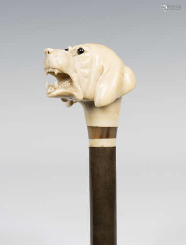 A late 19th/early 20th century ivory handled walking stick, the substantial handle finely modelled