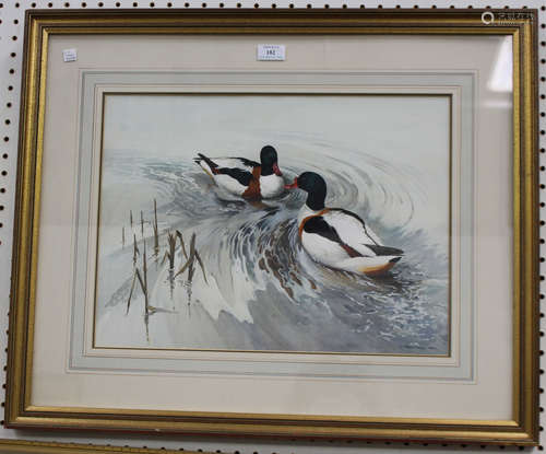 Berrisford Hill - Two Ducks on Water, 20th century watercolour with gouache, signed, 35cm x 47.