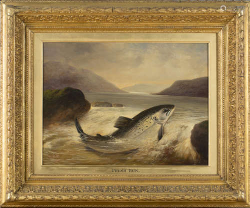 C.B.W., British School - 'Fresh Run' (Salmon running Upstream), oil on canvas, signed with