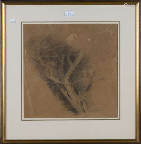 Edward Stott - Tree Study, late 19th/early 20th century charcoal with pastel, Abbott and Holder