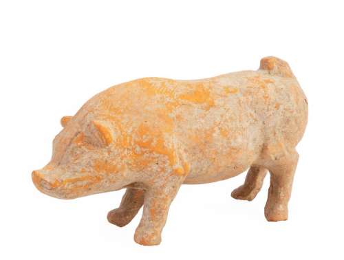 China, Han Dynasty (206 BC - 220 AD) Terracotta pig shown standing Traces of white polychromy Sichuan Province 19 x 34 cmA thermoluminescence test is attached.