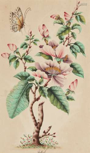 A Qajar painting of a rose with butterfly, signed Muhammed Reza, Iran, 19th century, watercolour