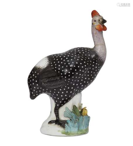 A Meissen porcelain model of a Guinea fowl, 18th century, modelled standing on a floral encrusted