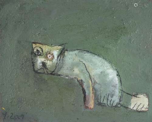 Miguel Angel Yrazaabel (21st century), Cat