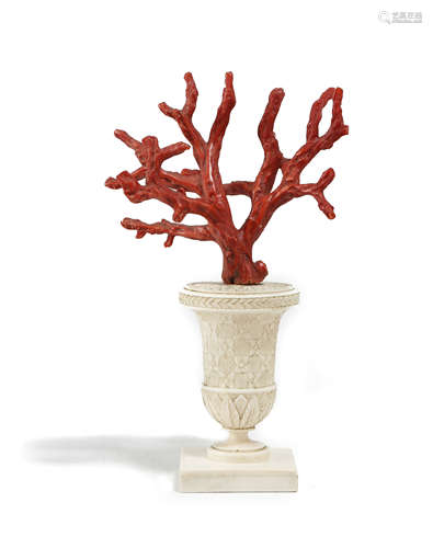 λ AN ITALIAN KUNSTKAMMER CORAL BRANCH SPECIMEN PROBABLY 18TH CENTURY issuing from a relief carved