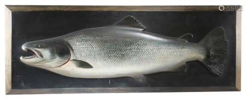 A RARE VICTORIAN CARVED AND PAINTED WOOD HALF-BLOCK FISHING TROPHY MODEL OF A SALMON ATTRIBUTED TO