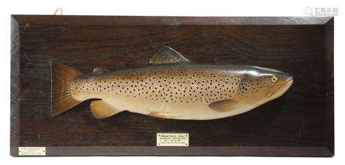 A GEORGE V PAINTED PLASTER HALF-BLOCK FISHING TROPHY OF A TROUT BY HARDY BROTHERS with two ivorine