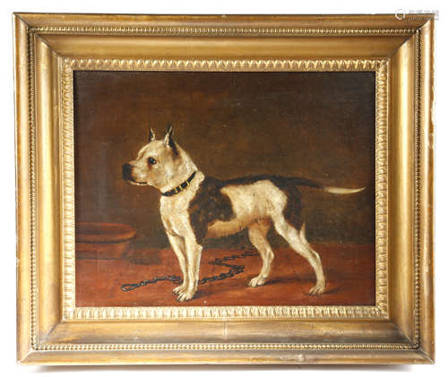 A NAIVE OIL PAINTING OF A BULLDOG LATE 19TH CENTURY oil on canvas, in a moulded giltwood frame 34.