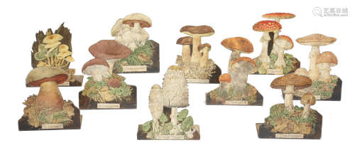 A SET OF TEN GERMAN TOLE MUSHROOM TEACHING AID BOOKENDS LATE 19TH / EARLY 20TH CENTURY each