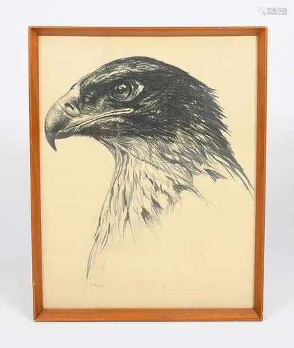 Paul Jouve (1878-1973) Eagle pencil on paper, framed signed in pencil lower left 45.5 x 35.5cm.