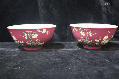 A Pair of Chinese Enamel Porcelain Bowls