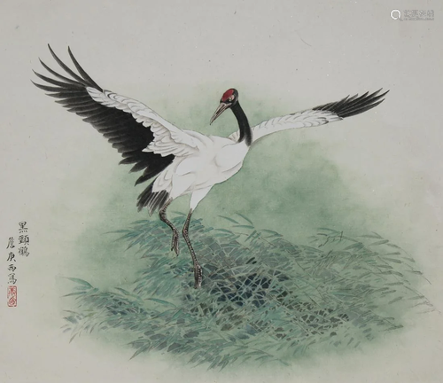 Zhan Gengxi (B. 1941) Black-Necked Crane Flapping