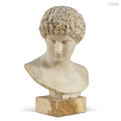 Antinoo bust Italy, 19th century h. 58 cm.