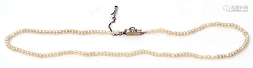 Antique seed pearl necklace, a single row of small pearls to a box engraved clasp set with three