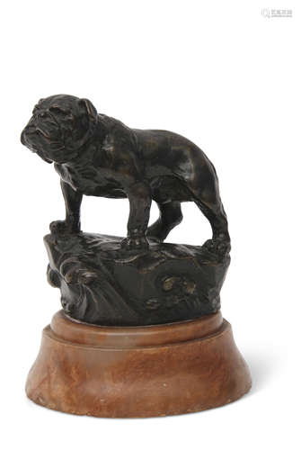 Late 19th/early 20th century bronze study of a bulldog on a marble socle, unsigned, 13cm high