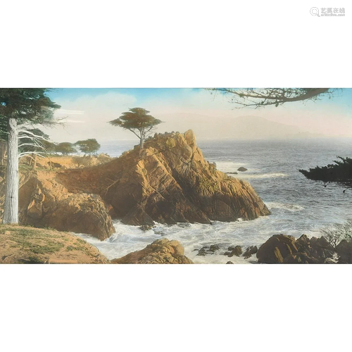 Hand Tinted California Photograph