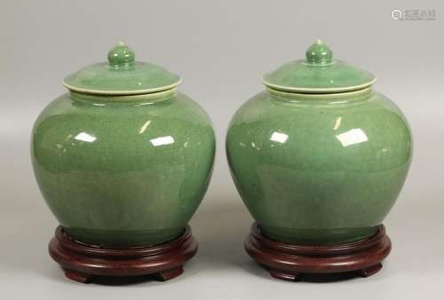 pair of porcelain ginger jars