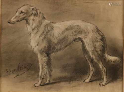 Otto Eerelman. 1839 - 1926 Greyhound. Mixed media on paper. Size: 19 x H, B 25 cm. In good