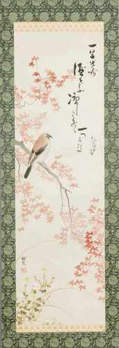 Old Chinese rolschilderij signed. Bird on blossom. Size: 175 x H B 46 cm. In good condition.