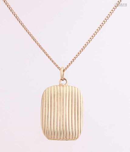 Yellow gold necklace and medallion, 585/000, rectangular medallion with ribdecor attached to an