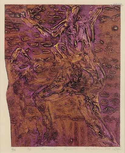 Eduardo Guerra, Cuba 1967. La Habana 1995. Nr. 6/35. Colored etching on paper. Size: 32 x H, B 26