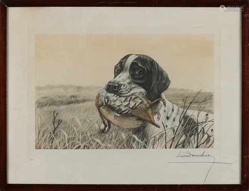 Leon Danchin. 1887 - 1938. Nr. 286/500. Hunting dog with partridge. Colored etching on paper.