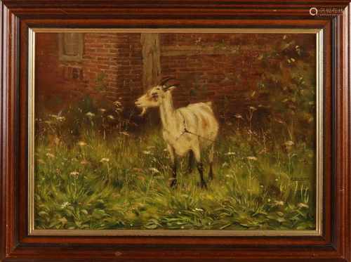 Evert Rabbers. 1875 - 1967. Enschede. Goat on the line. Oil on linen. Size: H 30.5 x W 40.5 cm. In