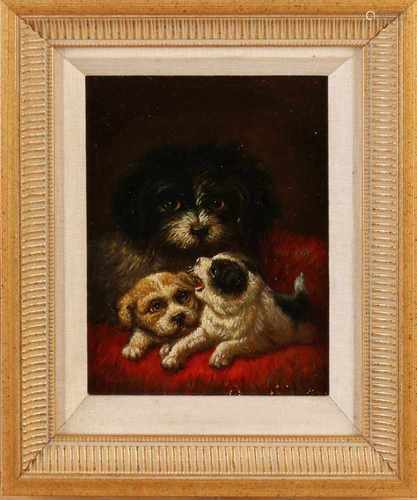 Unsigned. Circa 1900. Dog with two puppies. Oil paint on panel. Size: 17 x H, B 13 cm. In good