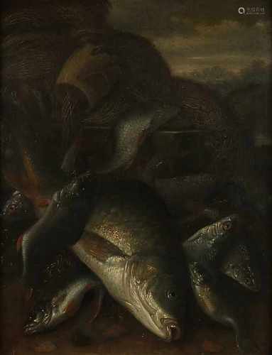 Jacob Gillig. 1636 - 1701. fish still. Oil paint on panel. Size: 39 x H, B 31 cm. In good