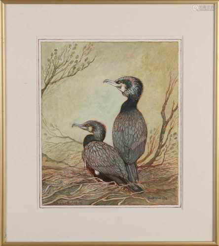 C. G. Os. 20th century. Cormorants. Watercolor on paper. Size: 30 x H, B 25 cm. In good condition.C.