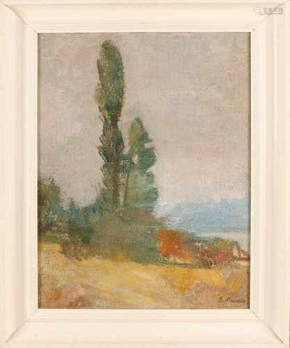 Eugen A. Maurer. 1885 - 1961. Landscape Switzerland. Oil on linen. Size: 43 x H, B 33 cm. In good