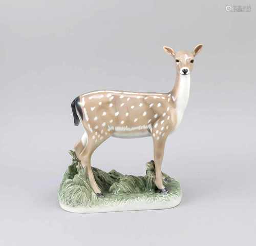 Large Danish Royal Copenhagen doe. 20th century. Size: 28 x 24 x 9.5 cm. In good condition.