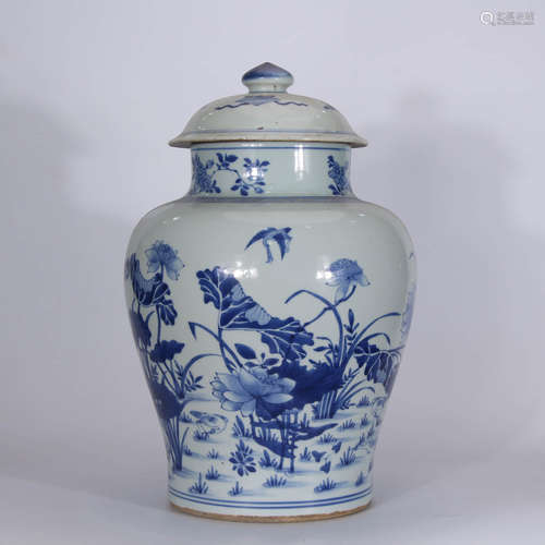 A Chinese Blue and White Porcelain Jar with Cover