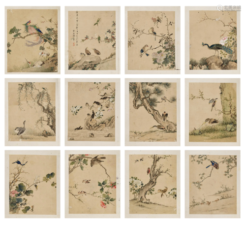 AN ALBUM WITH 12 DETAILED BIRD STUDIES, BY CHEN YUANZHANG, QING DYNASTY