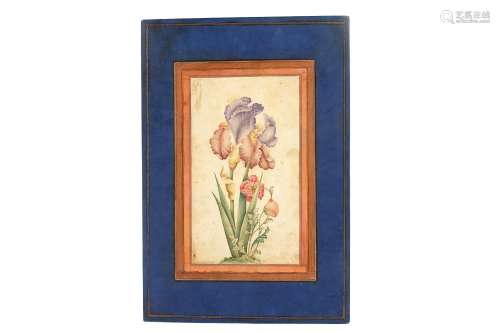 AN ALBUM PAGE WITH A TINTED DRAWING OF AN IRIS AND POPPIES