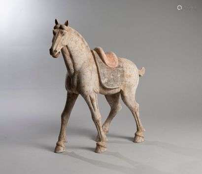 CHINA, Tang Dynasty (618-907)Horse standing, walkingTerracotta under slip with orange paint highlights.Height : 55 cm , Length : 51 cmThermoluminescence certificate confirming dating