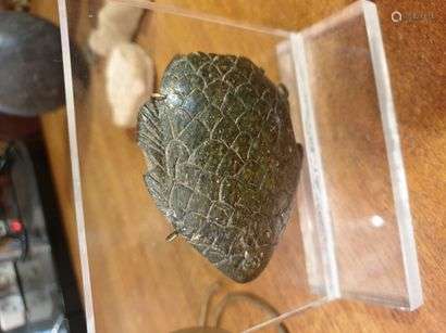 Pallet with fragmentary shading representing a stylized fish with incised scales and fins.Green stone.Egypt, Lower Egypt.Width : 8 cm