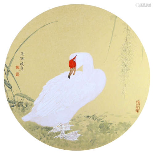 张晓彦（b.1975） 白鸭 设色纸本 硬卡  白鸭 设色纸本 硬卡