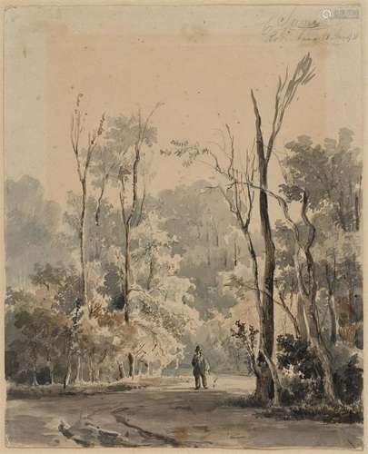 Forest Landscape with Hikers