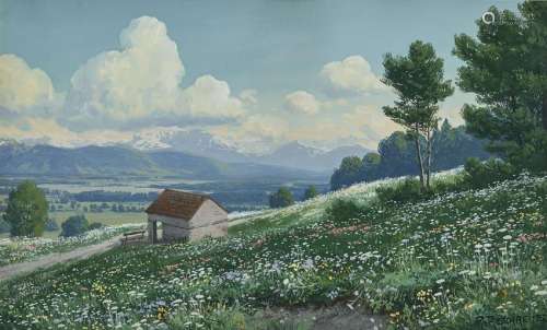 Mountain Landscape with Flowering Meadows