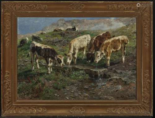 Four Young Cattle at the Trough