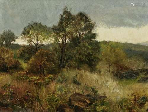 Landscape with Trees and Cliffs