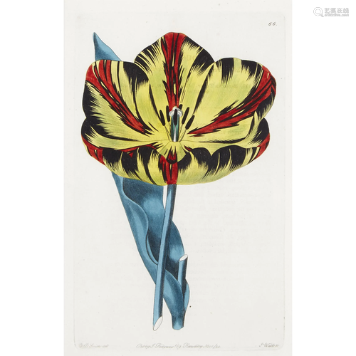 [Prints] Sweet, Robert, Four Hand-Colored Engravings…