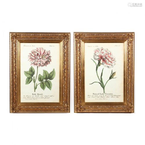 Two Large Decorative Botanical Prints