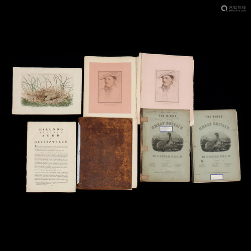 Four Large Folio Avian Engravings and Two Prints of …