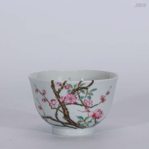 A Chinese Famille Rose Porcelain Cup