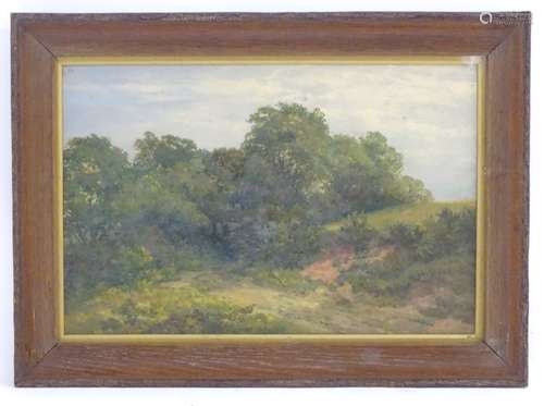 Manner of Charles John Birbeck, XIX-XX, Oil on board, A wooded landscape with a track. Approx.