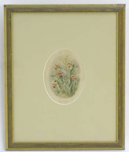 Albert Durer Lucas (1828-1918), Watercolour, an oval, A study of flowers, Bee Orchids, Signed,